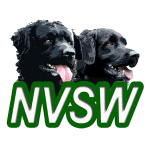 NVSW logo