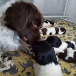 Update Bregje december ’20