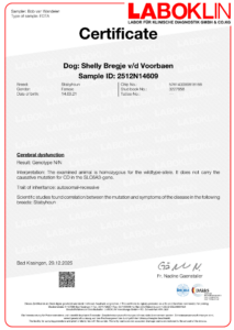 Cerebral dysfunction testuitslag