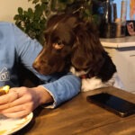 Shelly dag 19 kleine update