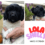 Pups Shelly en Joppe bijna 6 weken