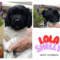 Pups Shelly en Joppe bijna 6 weken